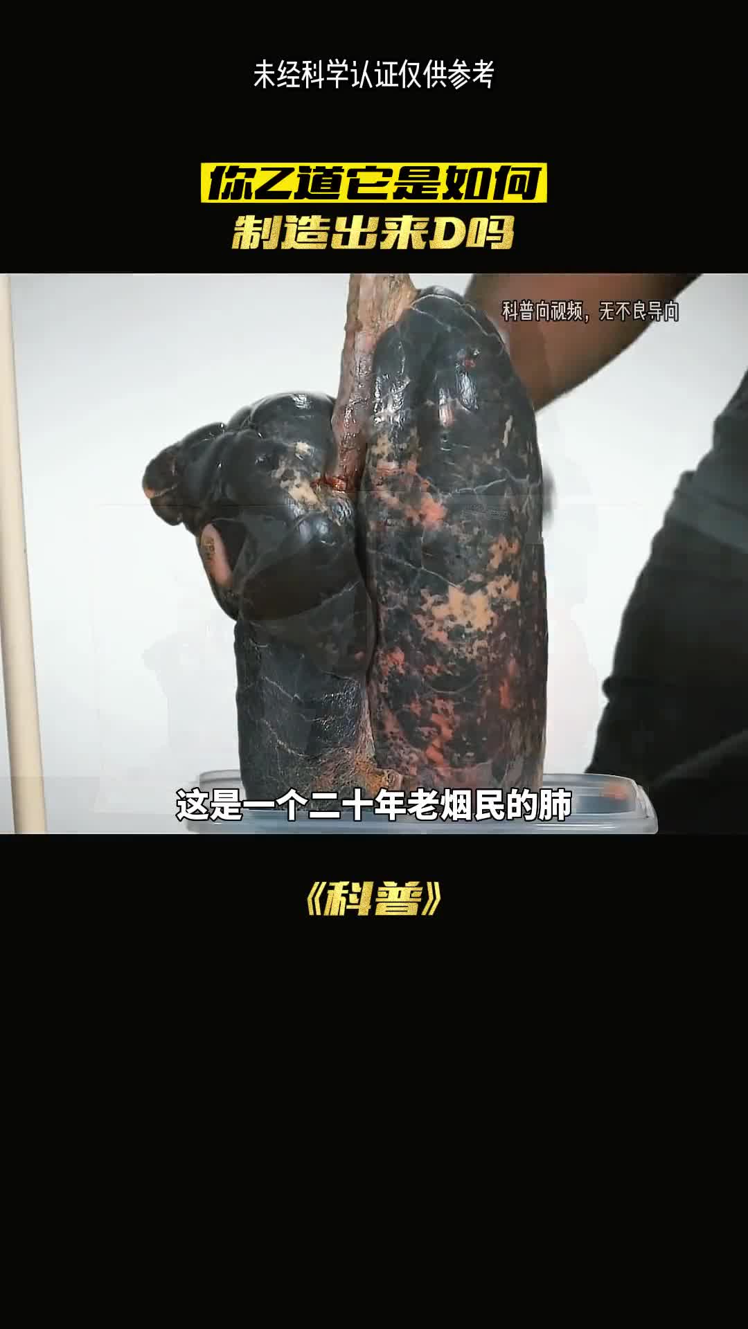 你平常吸的烟是怎么制作的