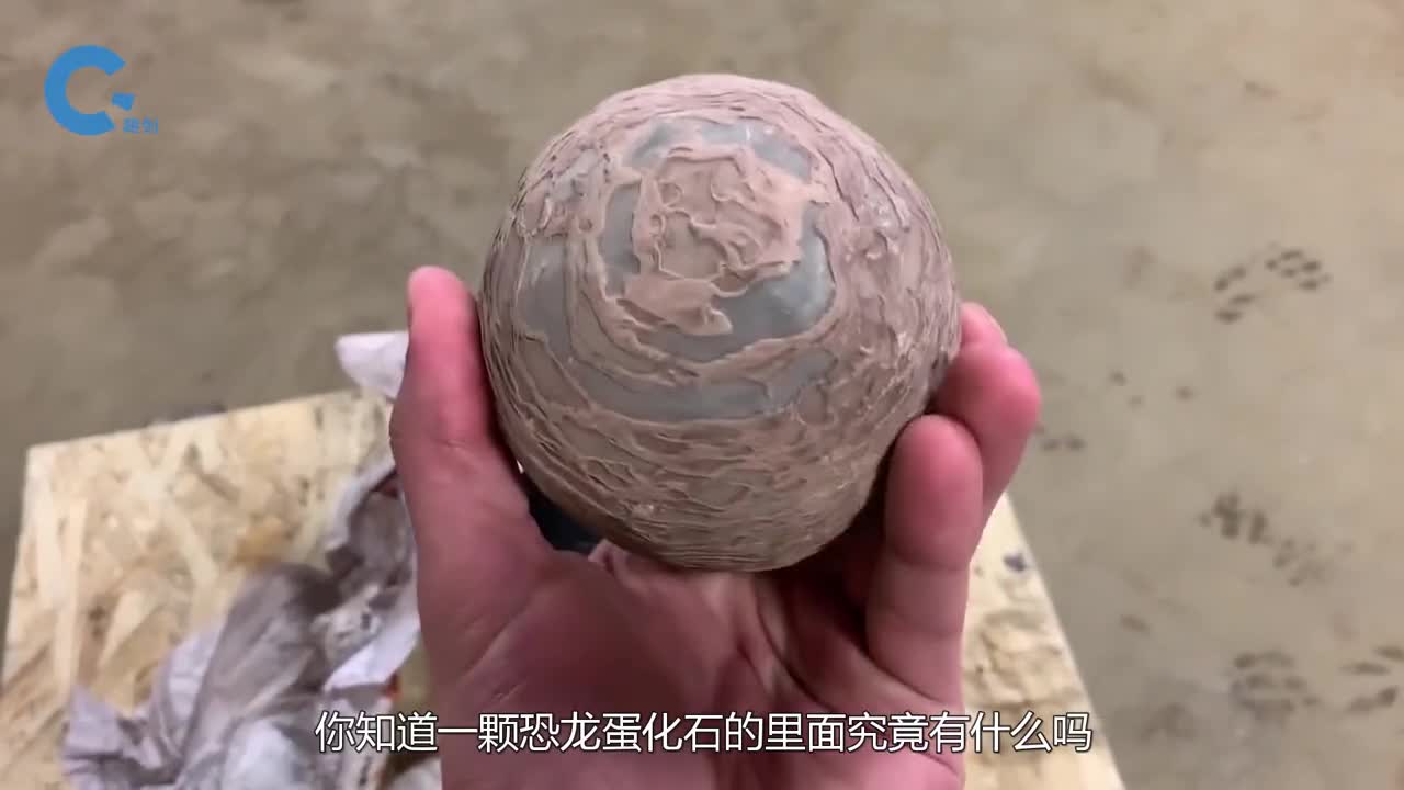 恐龙蛋化石里面有什么土豪用水刀将其切开后彻底傻眼了