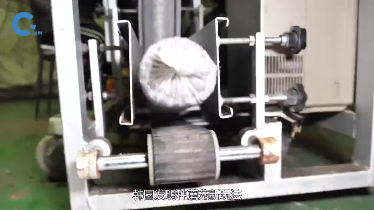 韩国发明用木屑种植蘑菇蘑菇又大又好