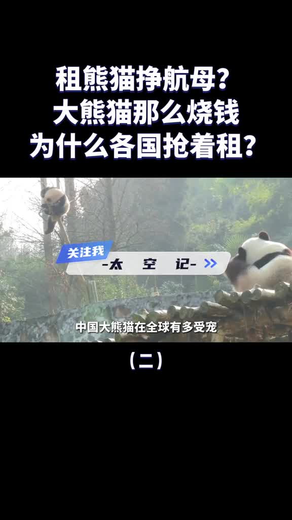 租熊猫挣航母大熊猫那么烧钱为什么各国还抢着租待遇真的好吗