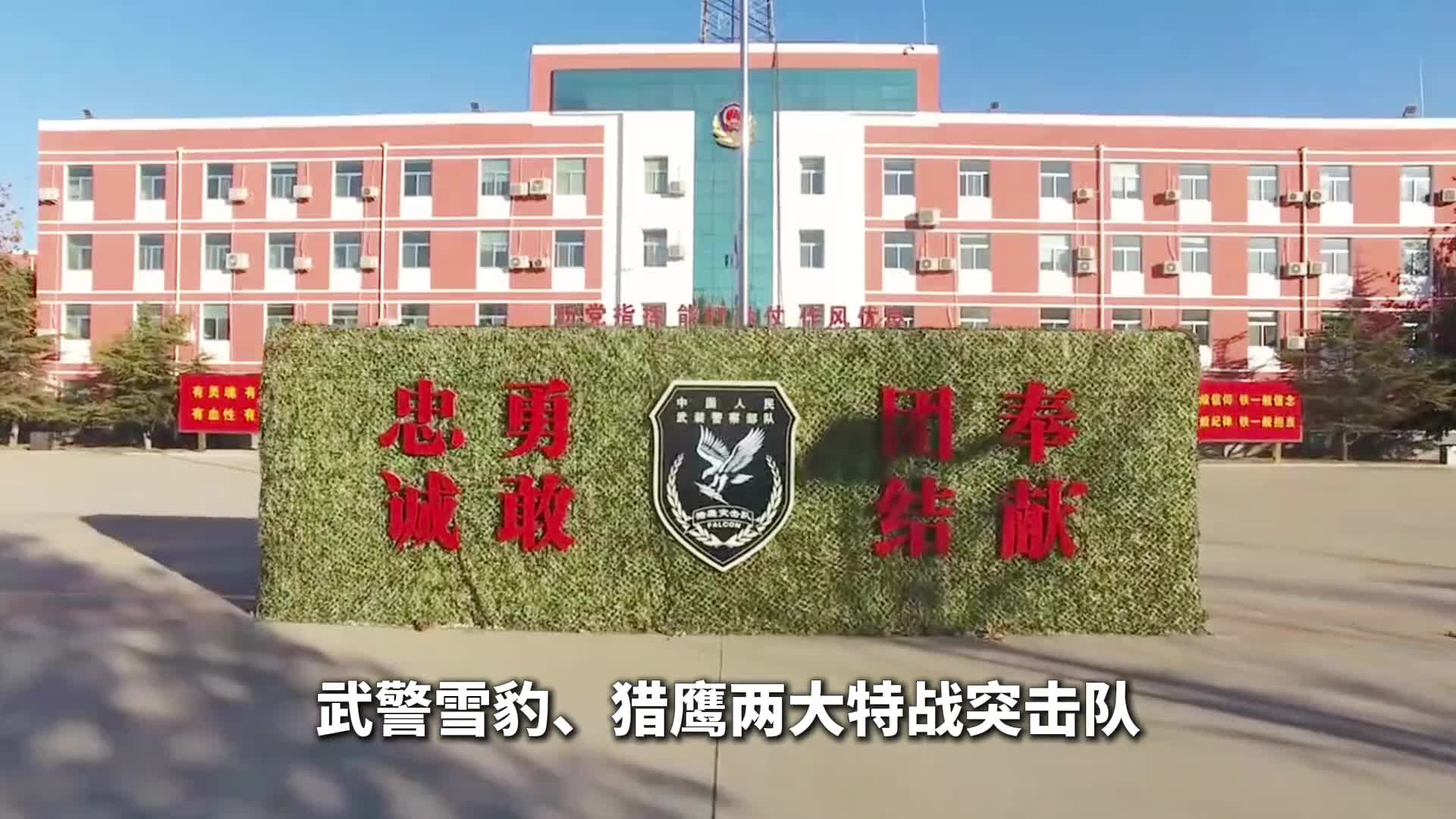 武警猎鹰雪豹突击队是怎样的存在