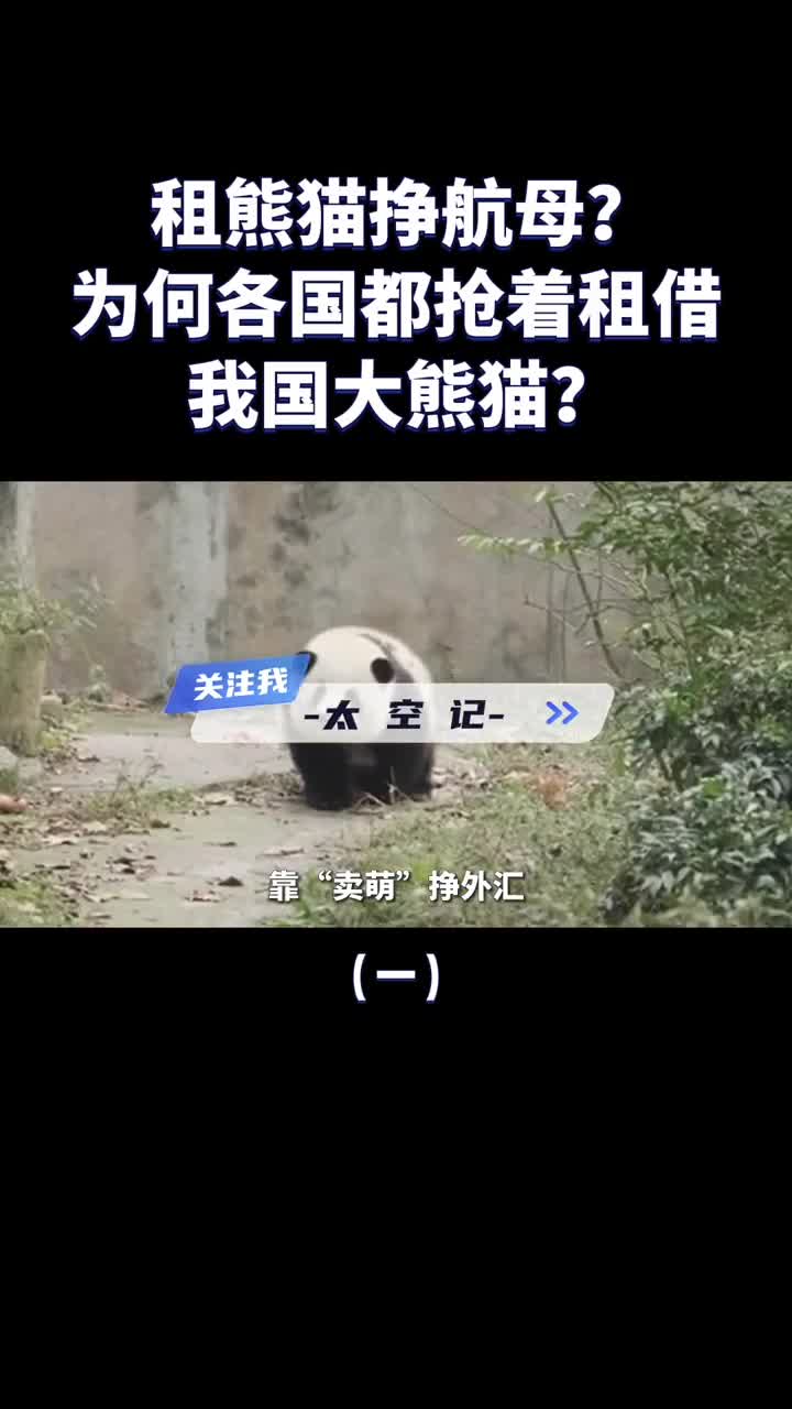 租熊猫挣航母大熊猫那么烧钱为什么各国还抢着租待遇真的好吗