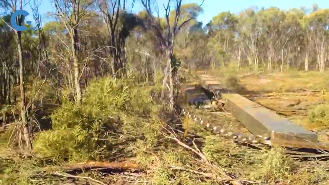推土机拉着10吨重的铁杆行驶在灌木丛里成片的树木被撂倒