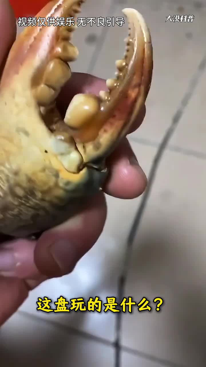 这都可以盘带你认识20种稀奇古怪的文玩手把件万物皆可盘