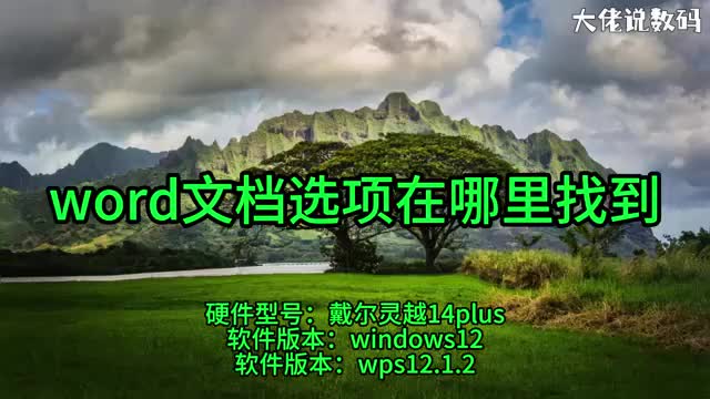 word选项在哪里方法