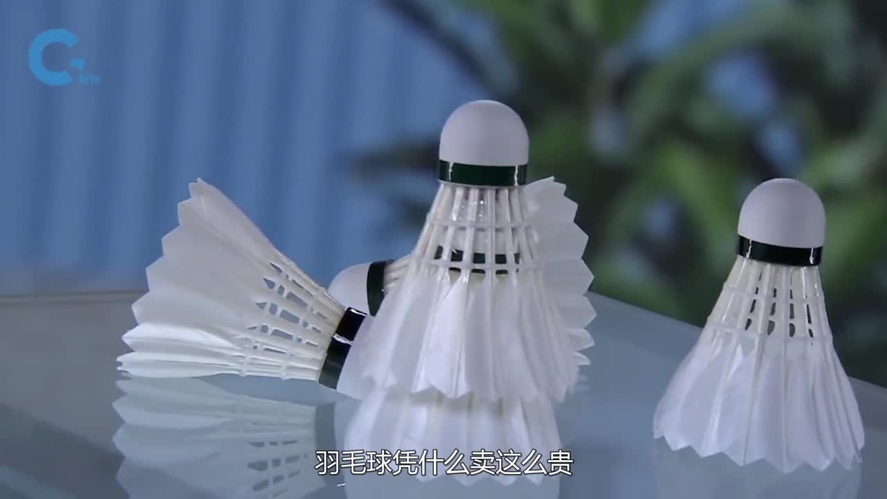 羽毛球是如何制作出来的竟多达30多个步骤