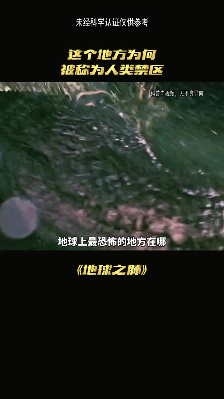 人类的禁区亚马逊雨林
