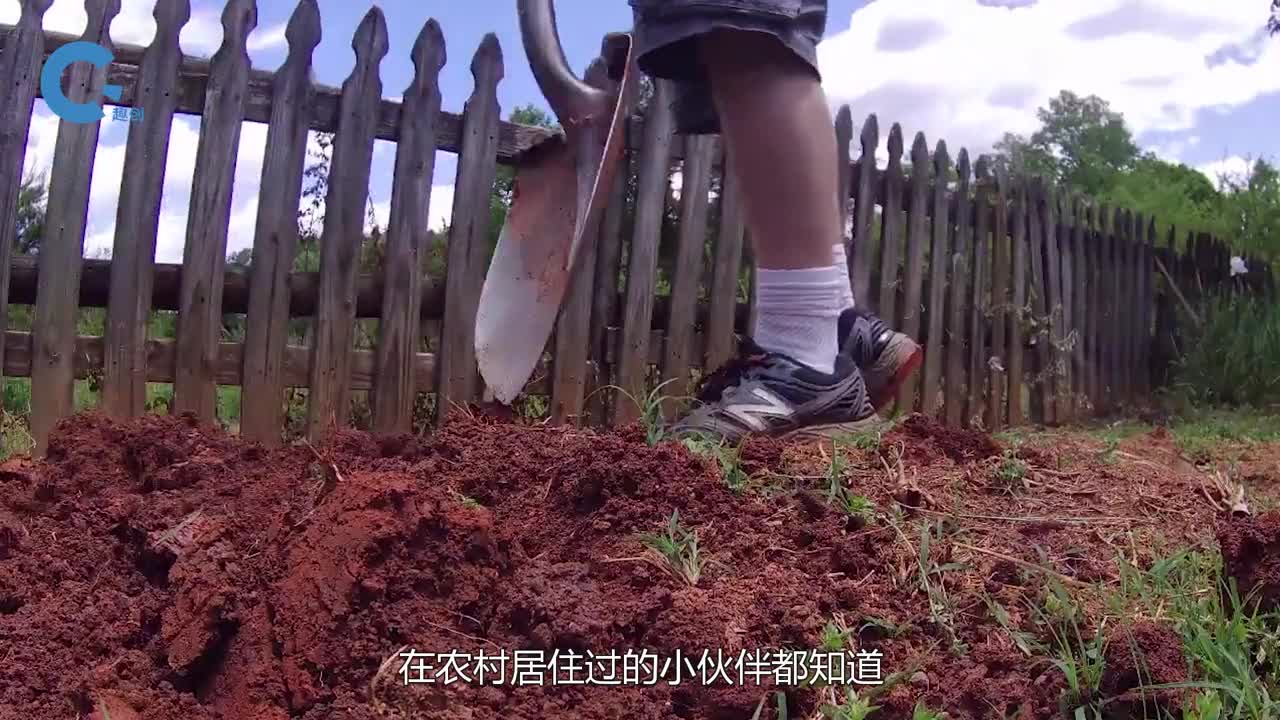 农民大叔发明剪刀嘴翻土工具一天能剪6亩地