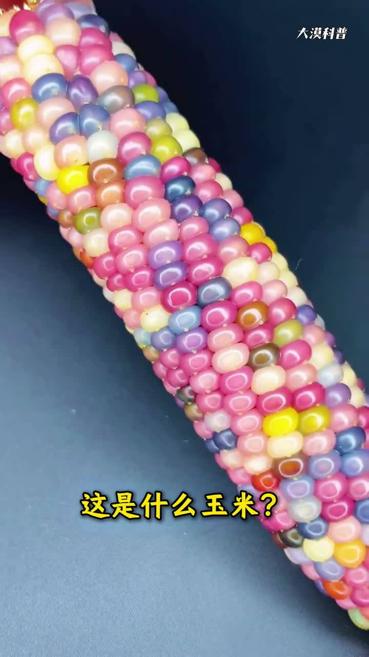 七彩琉璃玉米你见过吗分享科普22种不同的玉米你见过几种