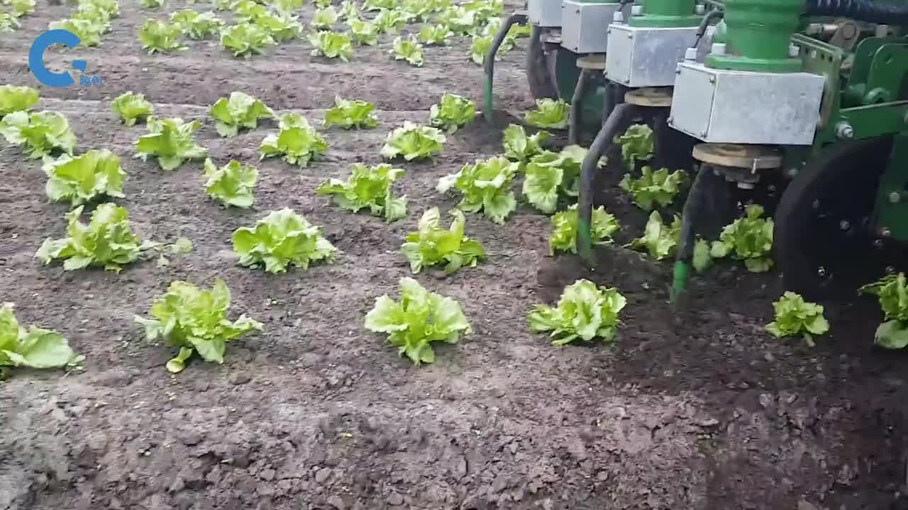 国外发明全方位除草机器人绕着植物转圈除草