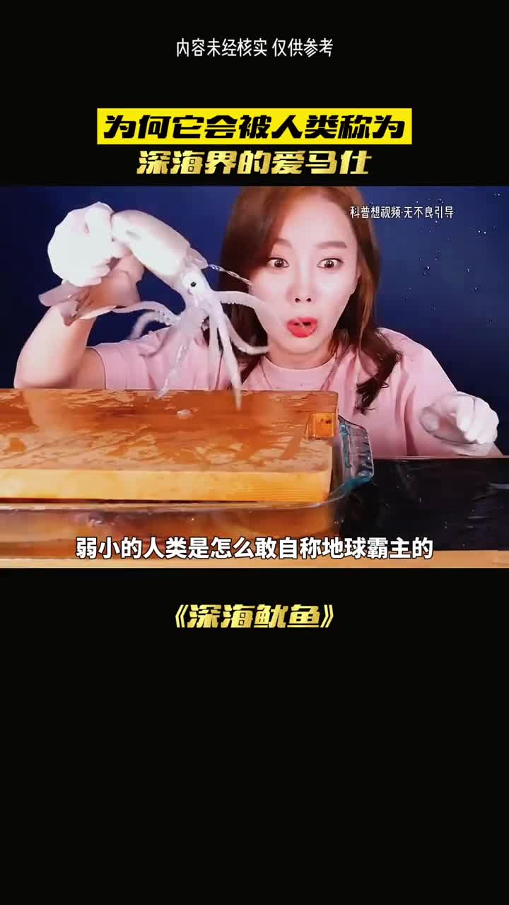 你吃过又鲜又嫩的0蔗糖鱿鱼丝