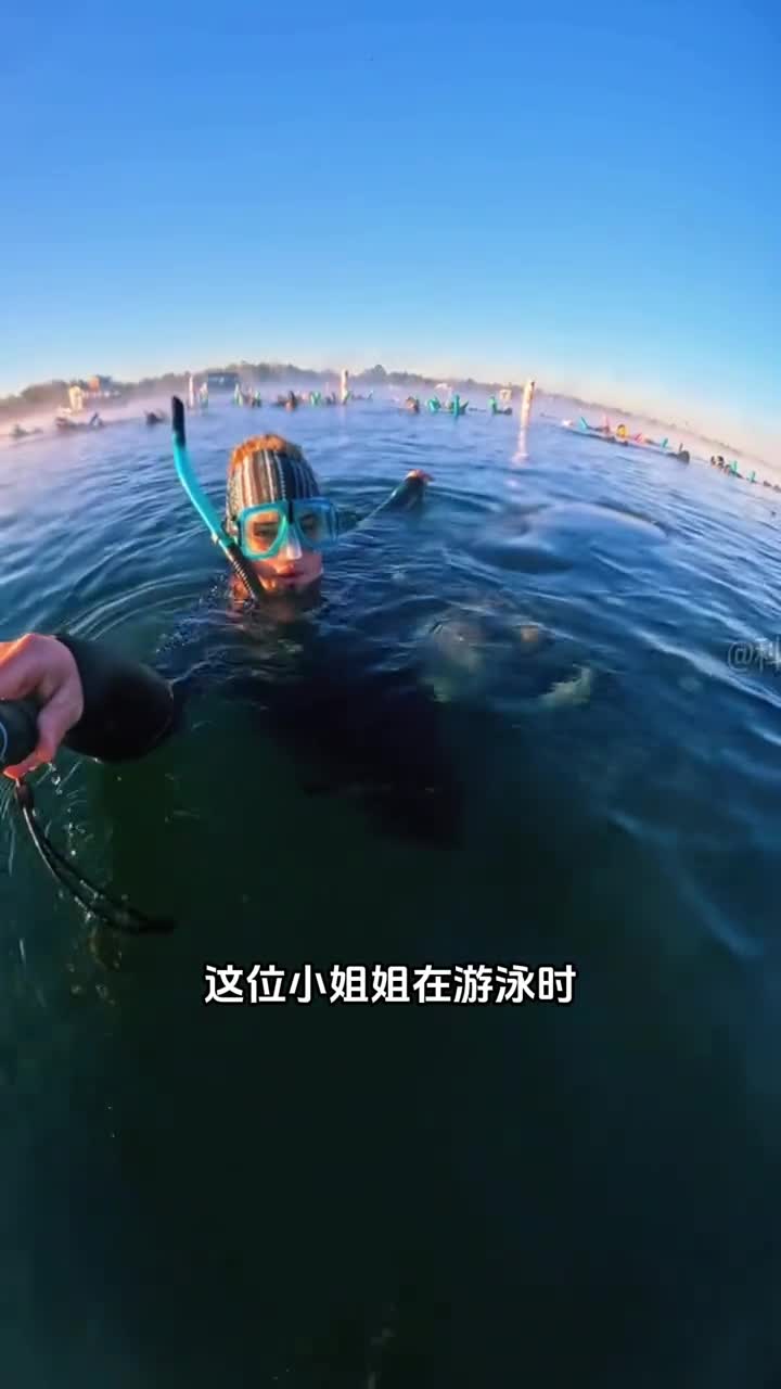 海牛喜欢和人类抱抱太可爱了