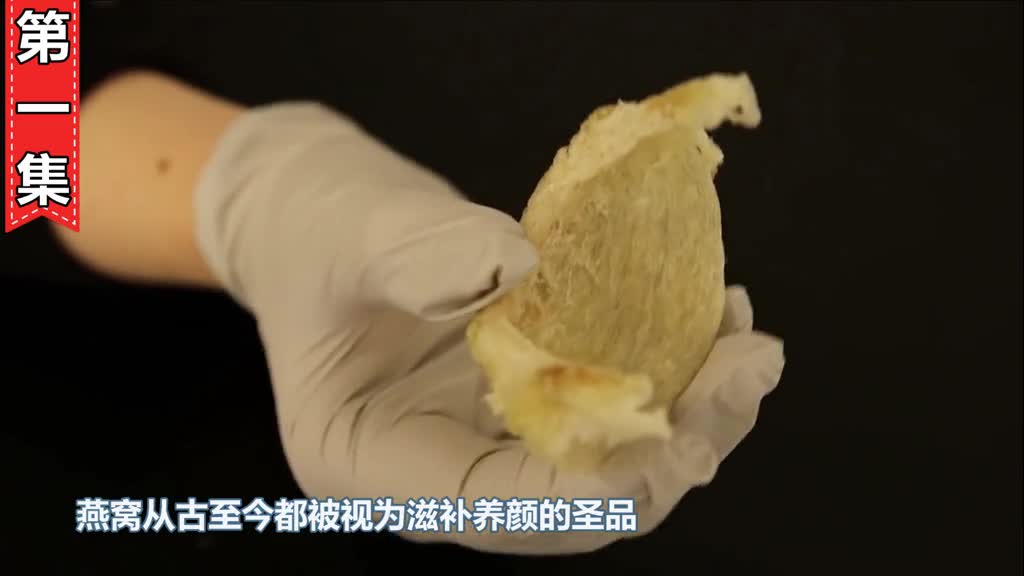 燕窝是怎么形成的燕子口水了解一下