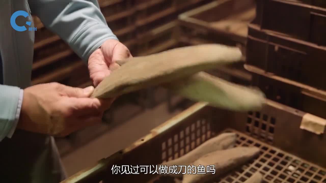 日本竟将鱼做成一匕首还打破了吉尼斯纪录它是怎样做到的