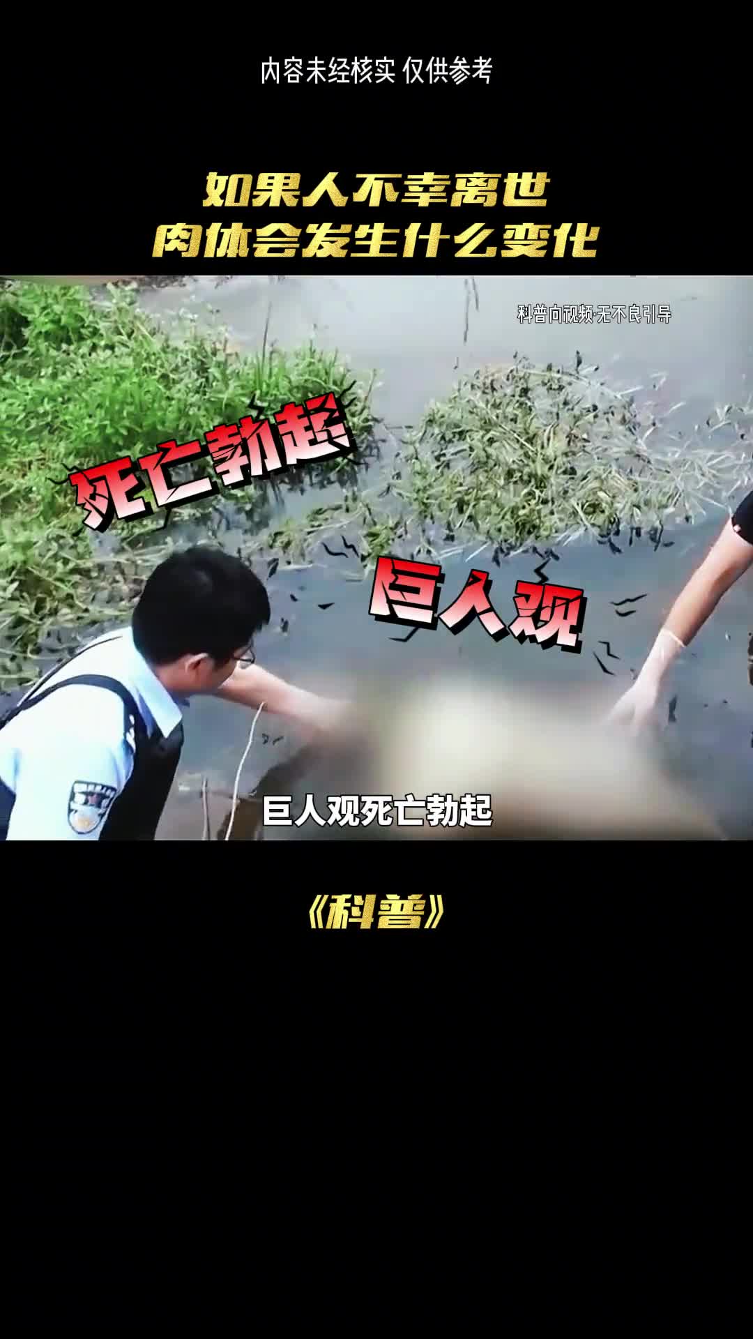 人去世后会发生什么