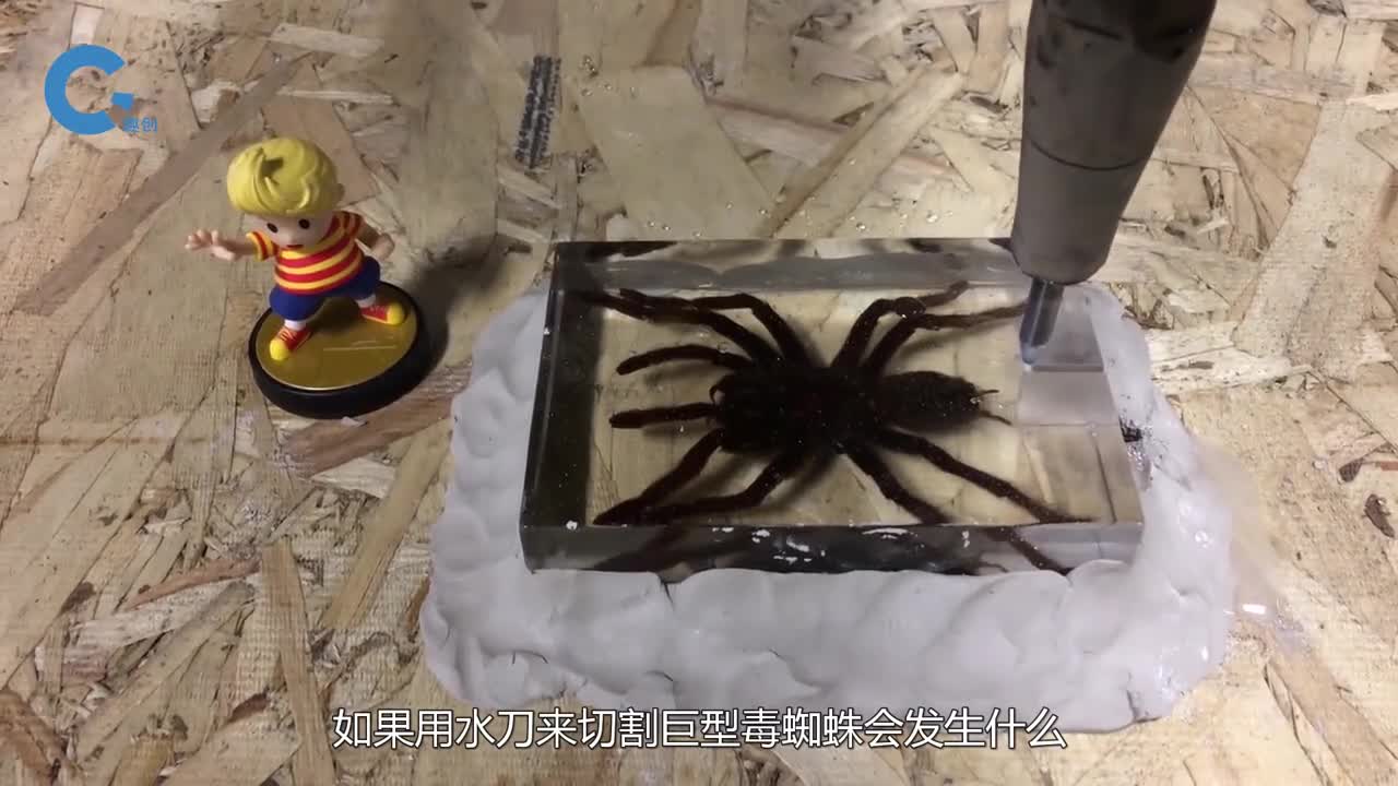 毒蜘蛛的里面有什么牛人用400兆帕水刀切割你猜它能坚持几秒