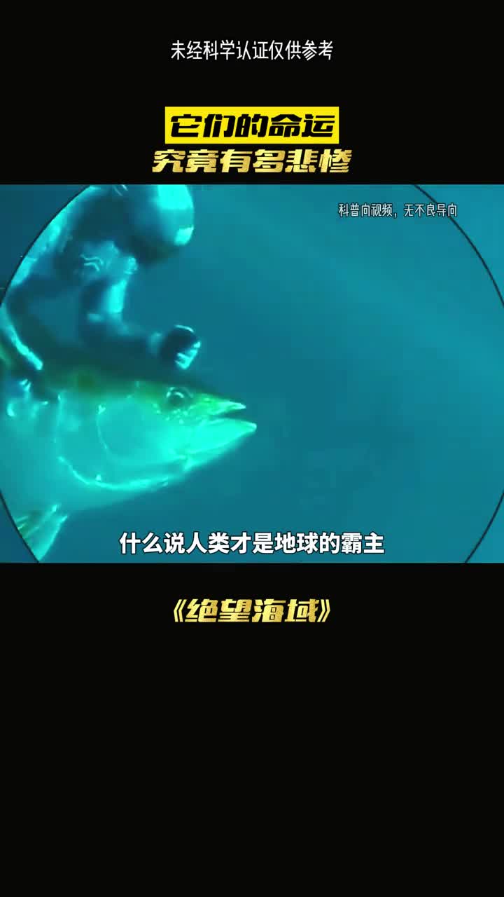 人类才是地球的霸主