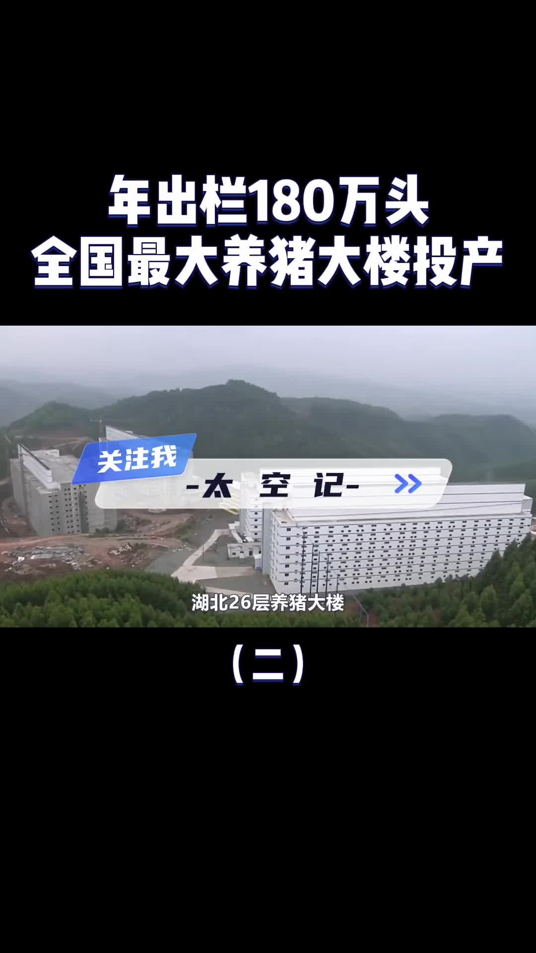 年出栏180万头26层楼高中国最大养猪大楼投产