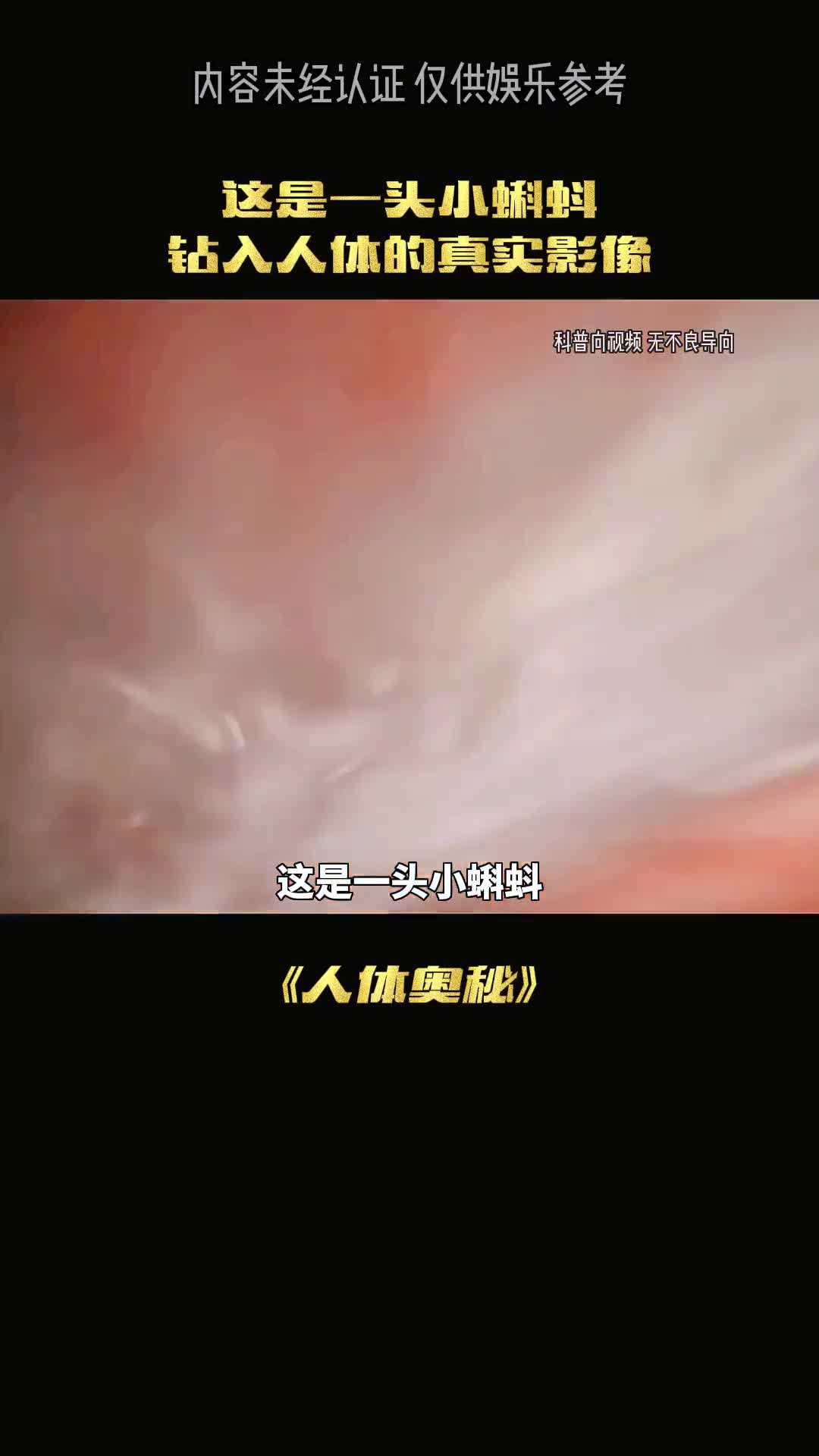 你知道你是怎么来的吗看了这条视频你就知道了