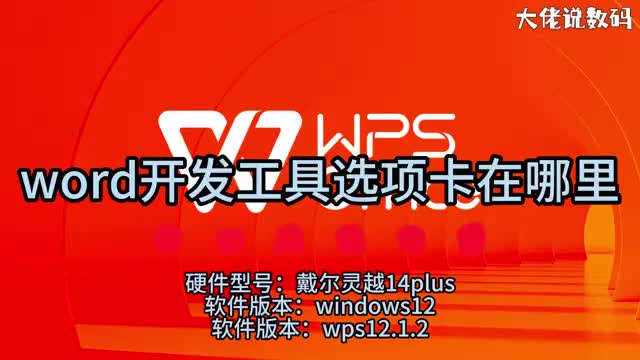 word开发工具选项卡在哪里