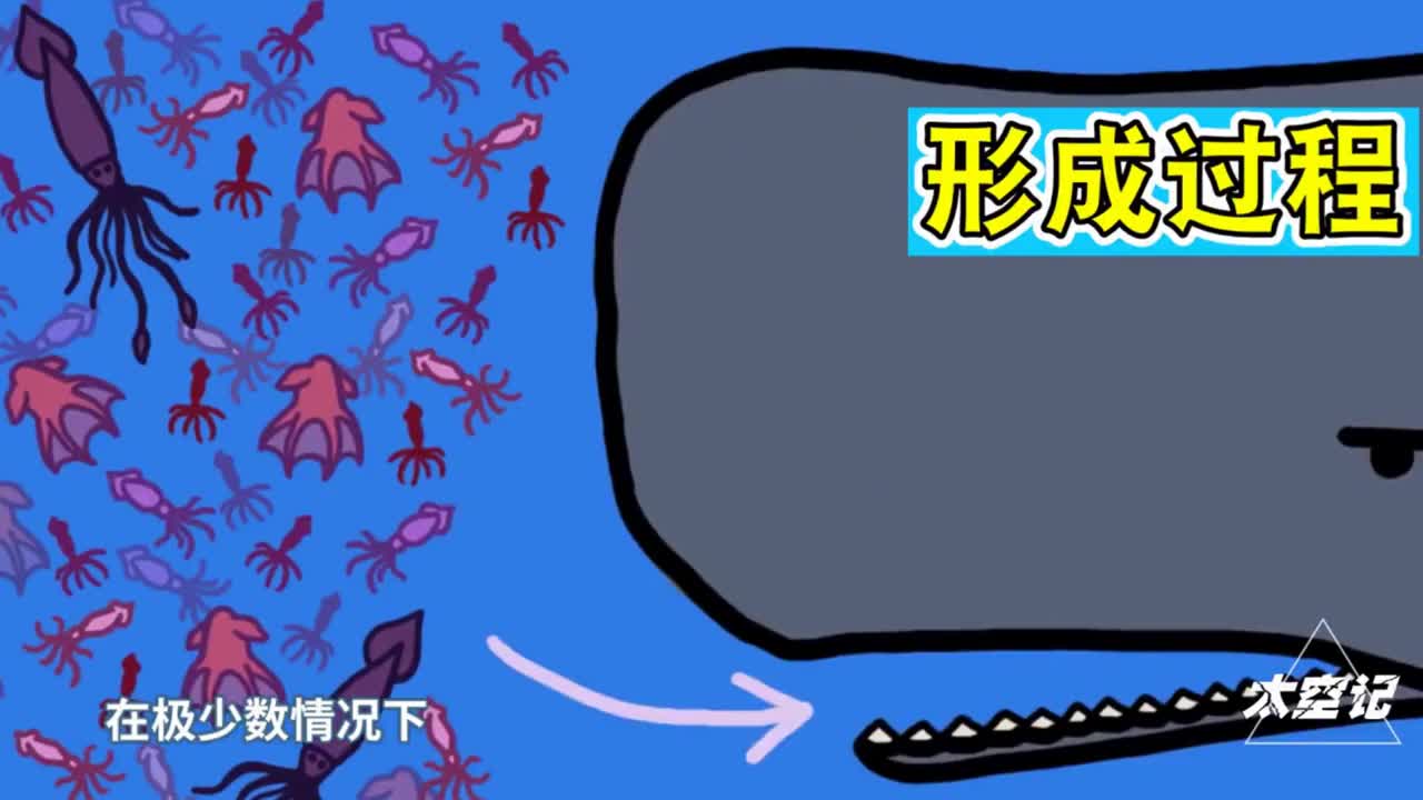 1克1500元抹香鲸的粪便为何如此昂贵它有何用途