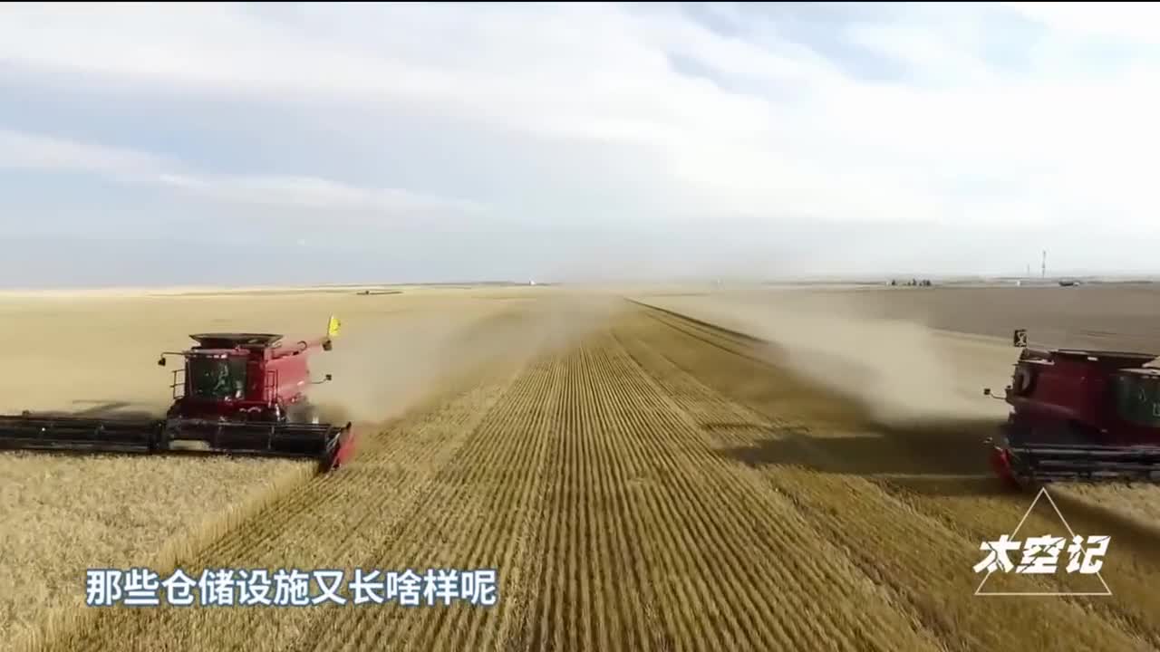 我国是如何为14亿人储备粮食的大国粮仓采用了哪些高科技