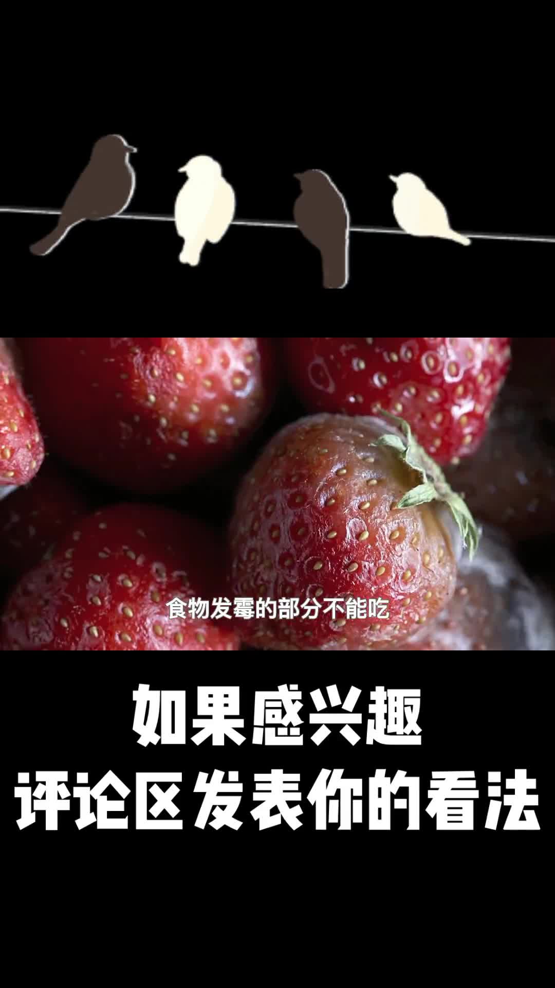 吃下发霉的食物会怎么样