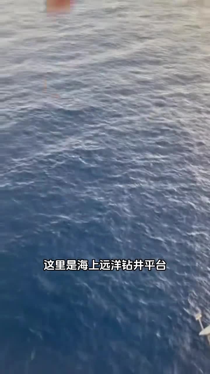 随便丢点食物到远洋钻井平台下面就能吸引来这么多的鱼群