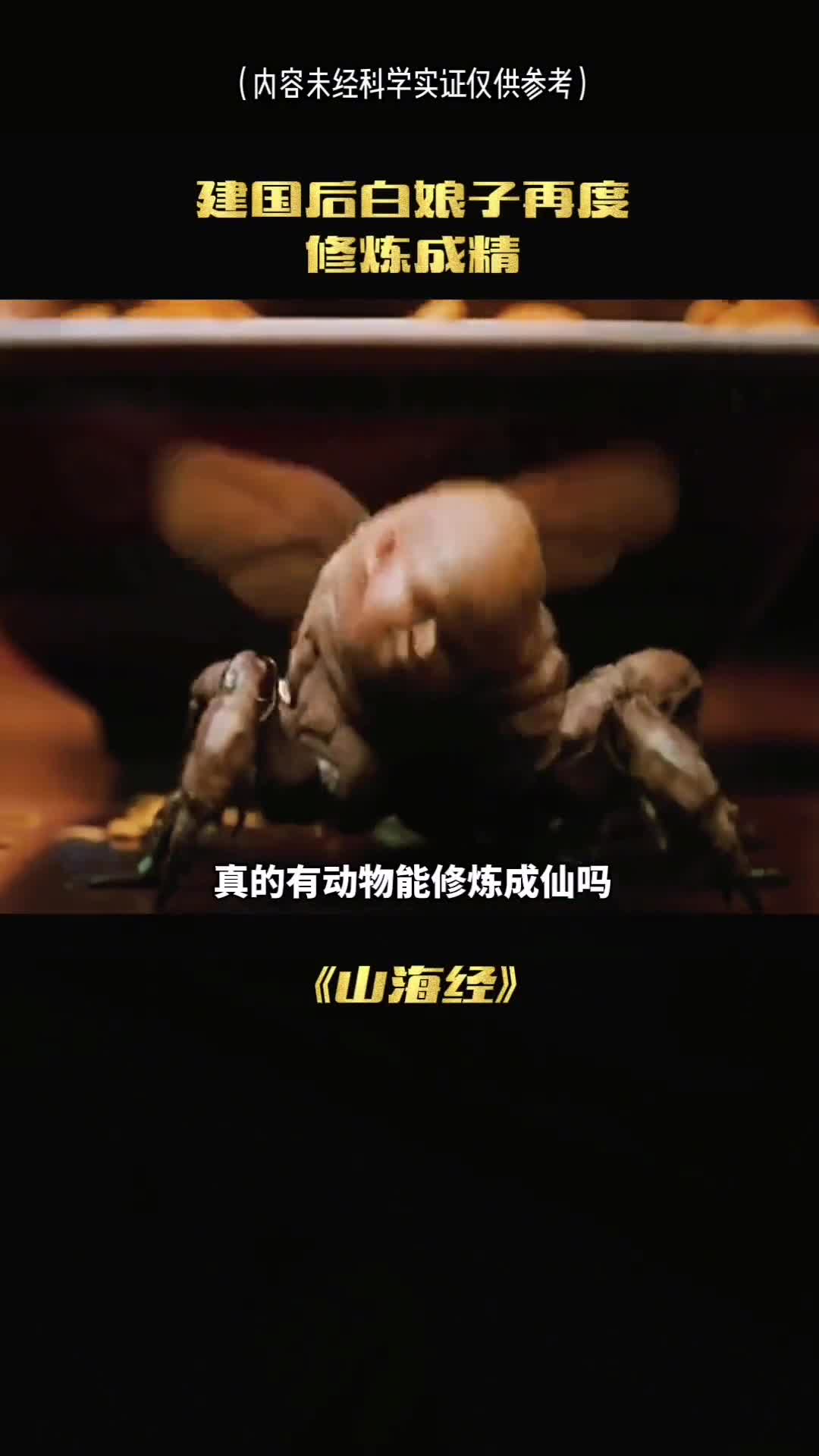 你敢相信吗动物竟然可以修炼成仙