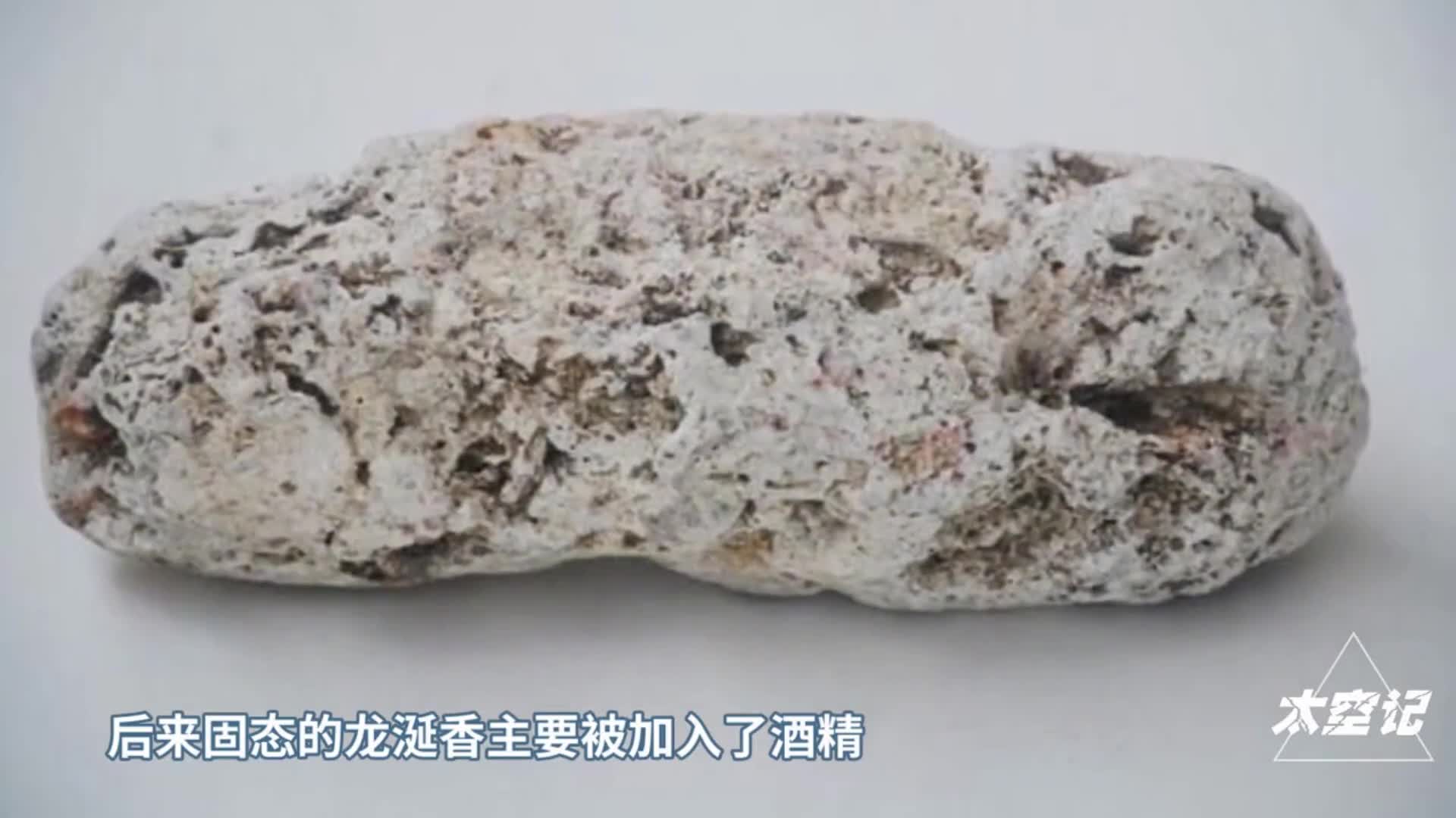 1克1500元抹香鲸的粪便为何如此昂贵它有何用途