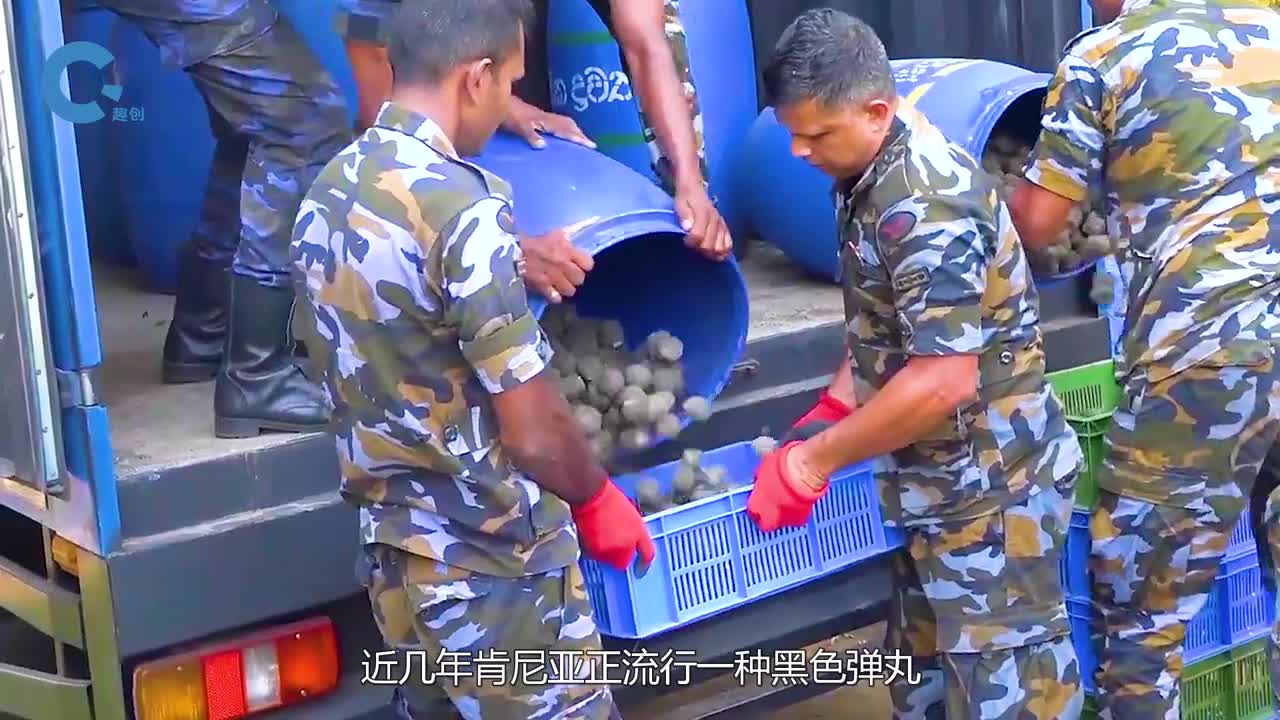 肯尼亚发明种树新方法把百万颗黑色弹丸扔到地上就能长出大树肯尼亚发明种树新方法把百万颗黑色弹丸扔到地上就能长出大树