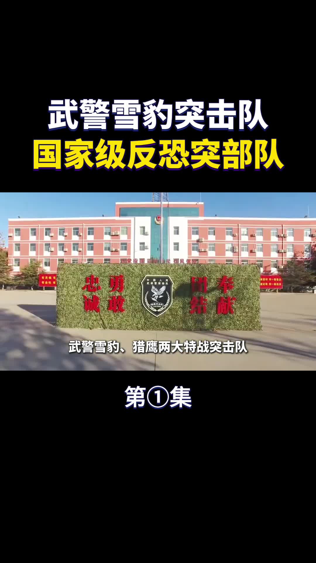 武警雪豹突击队是怎样的存在