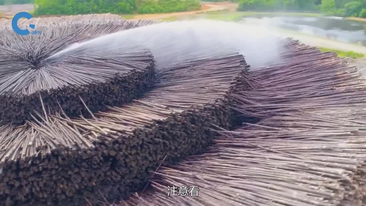 瓦楞纸是如何制造的几十万根树木围成圈先用水枪喷洒一遍
