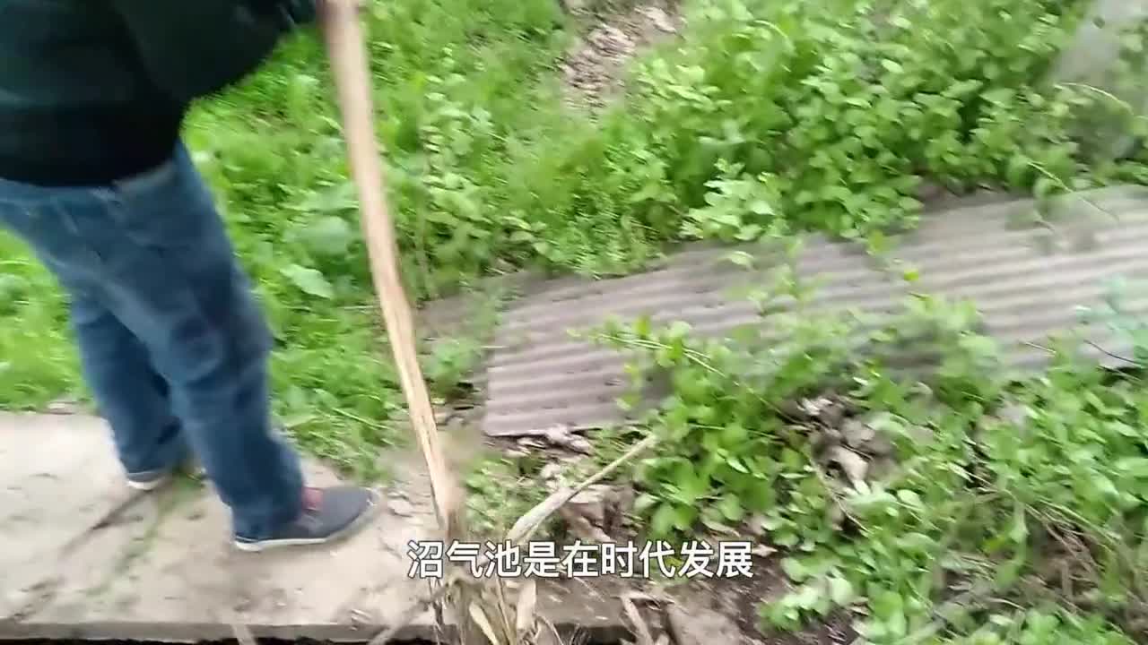 曾风靡农村的沼气池为什么现在很少有人用了