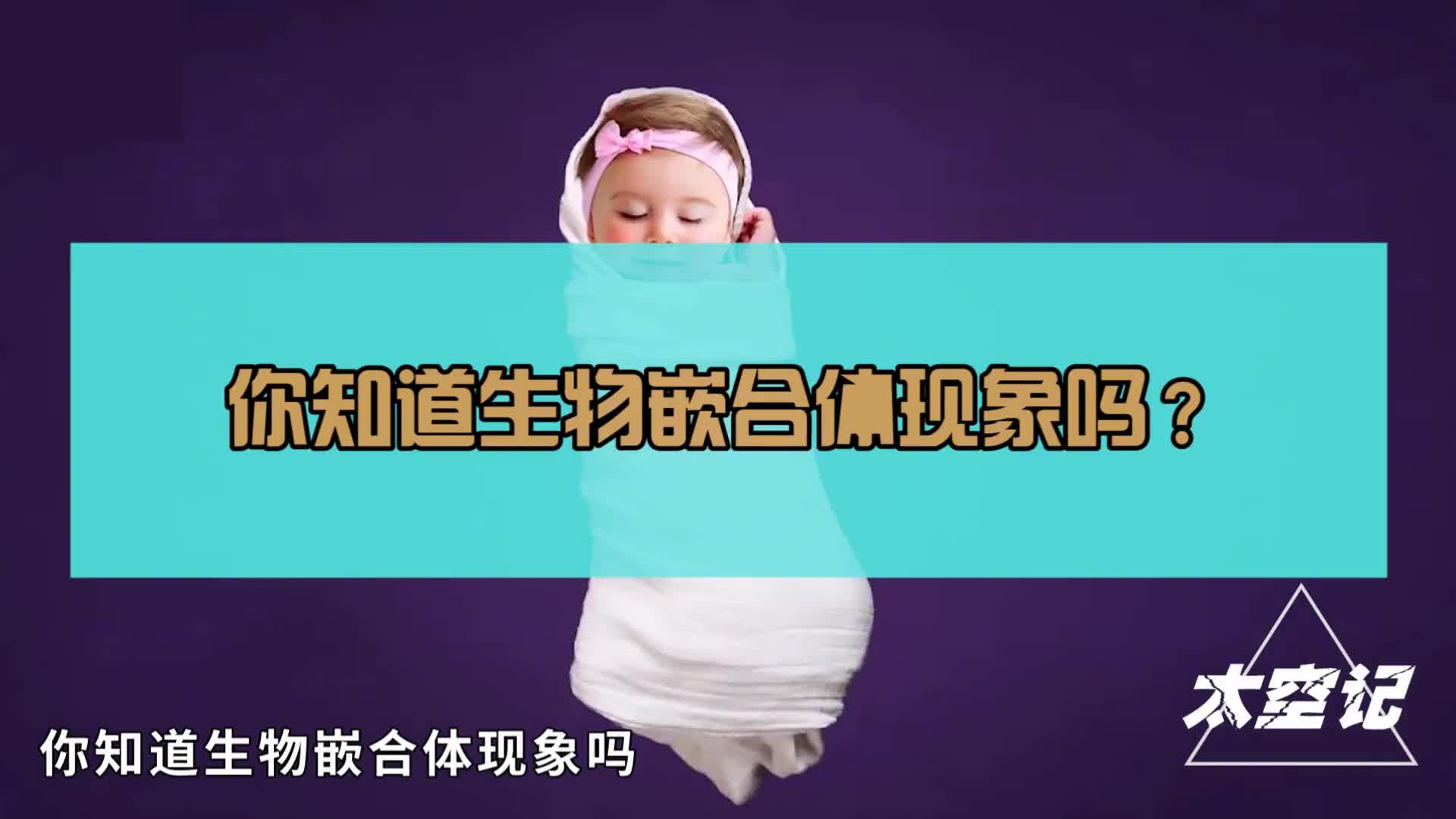 嵌合体现象你身上的那块胎记可能曾是你的双胞胎兄弟姐妹