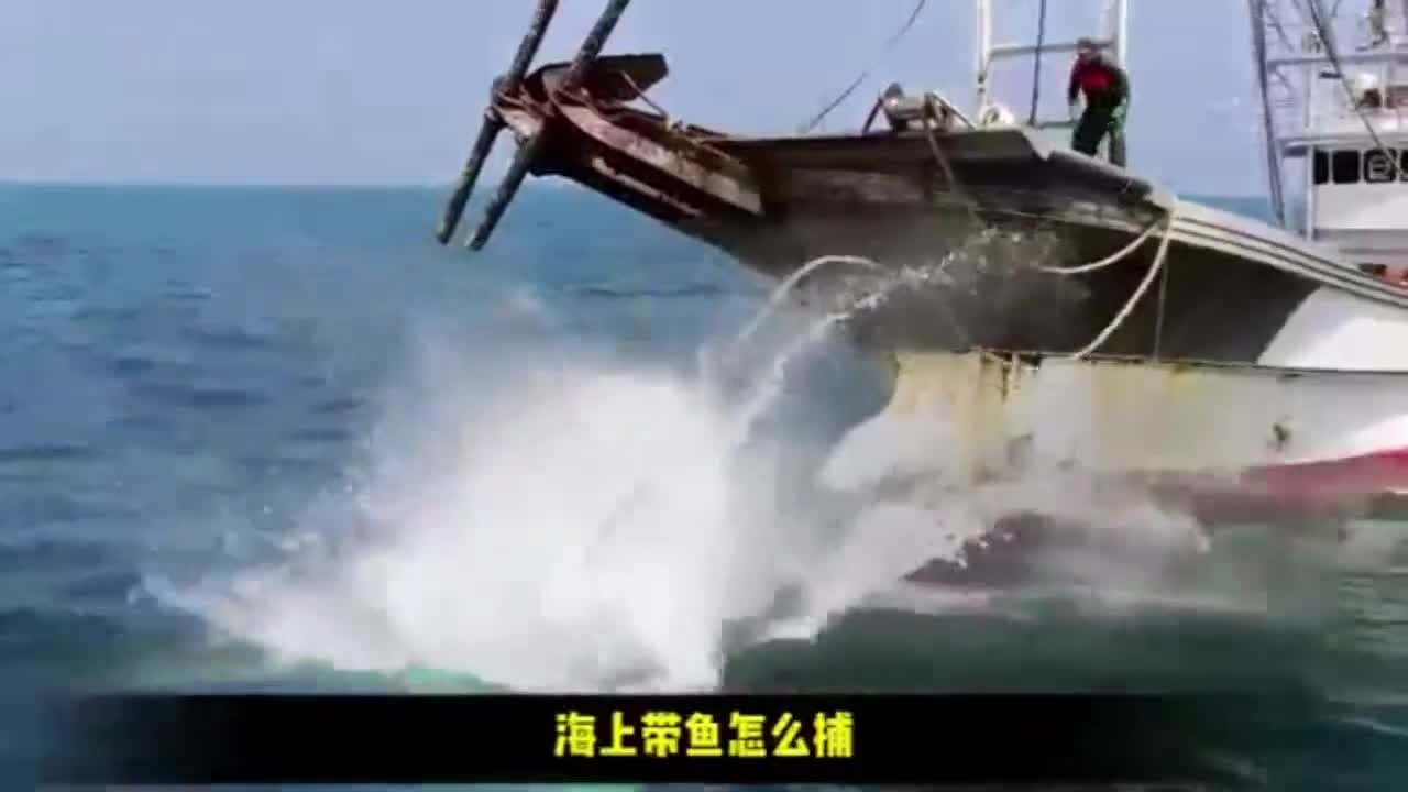 用重达2吨的船锚来捕捉带鱼你见过吗看看带鱼罐头是怎么做的