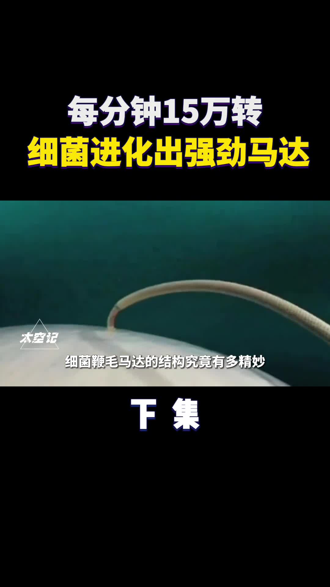 细菌进化出强劲马达每分钟15万转还是磁悬浮轴承的