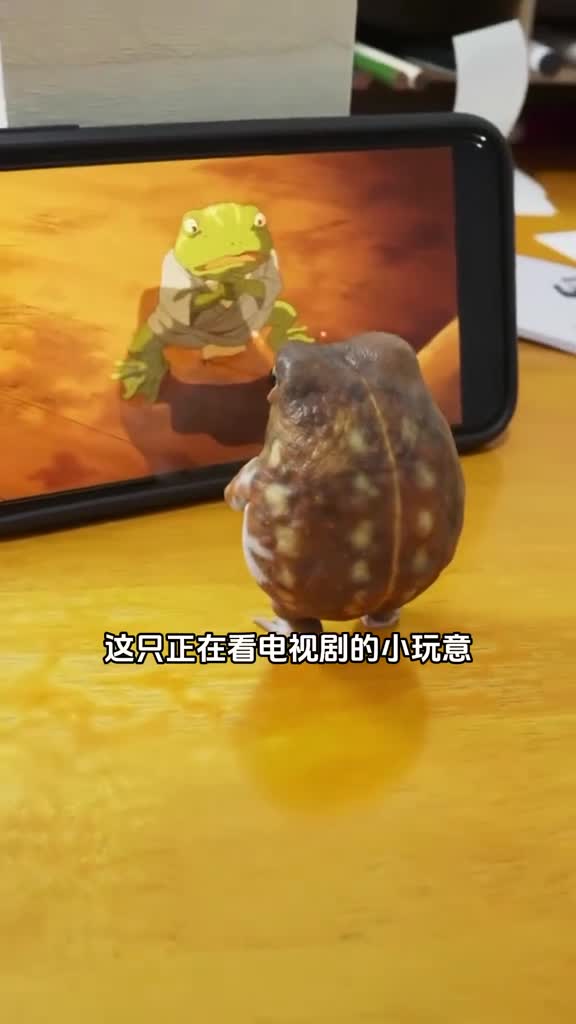 会看动漫的馒头蛙看起来就像是人类一样