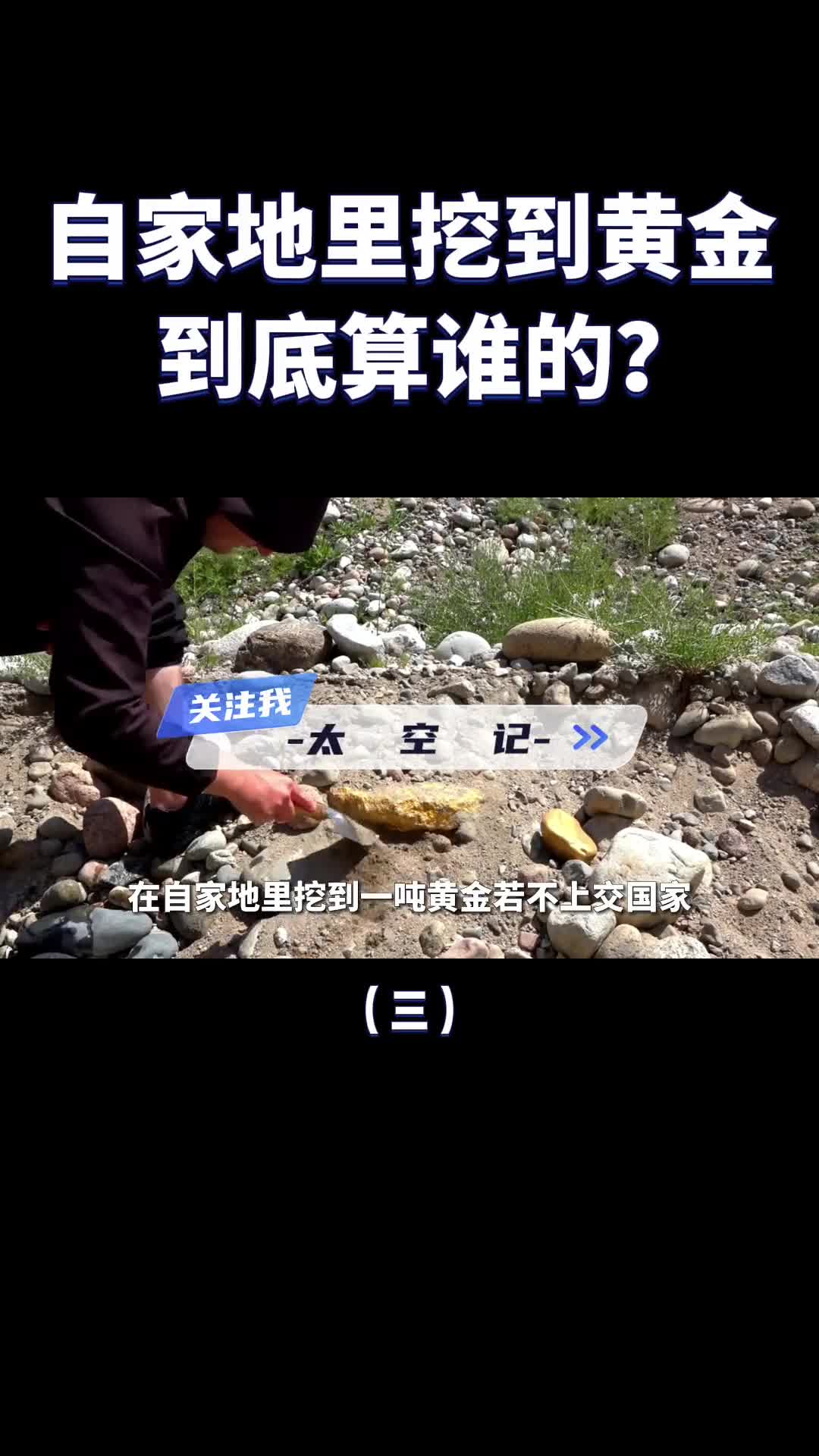 在自家地里挖到黄金到底算谁的祖上留下来的要不要上交