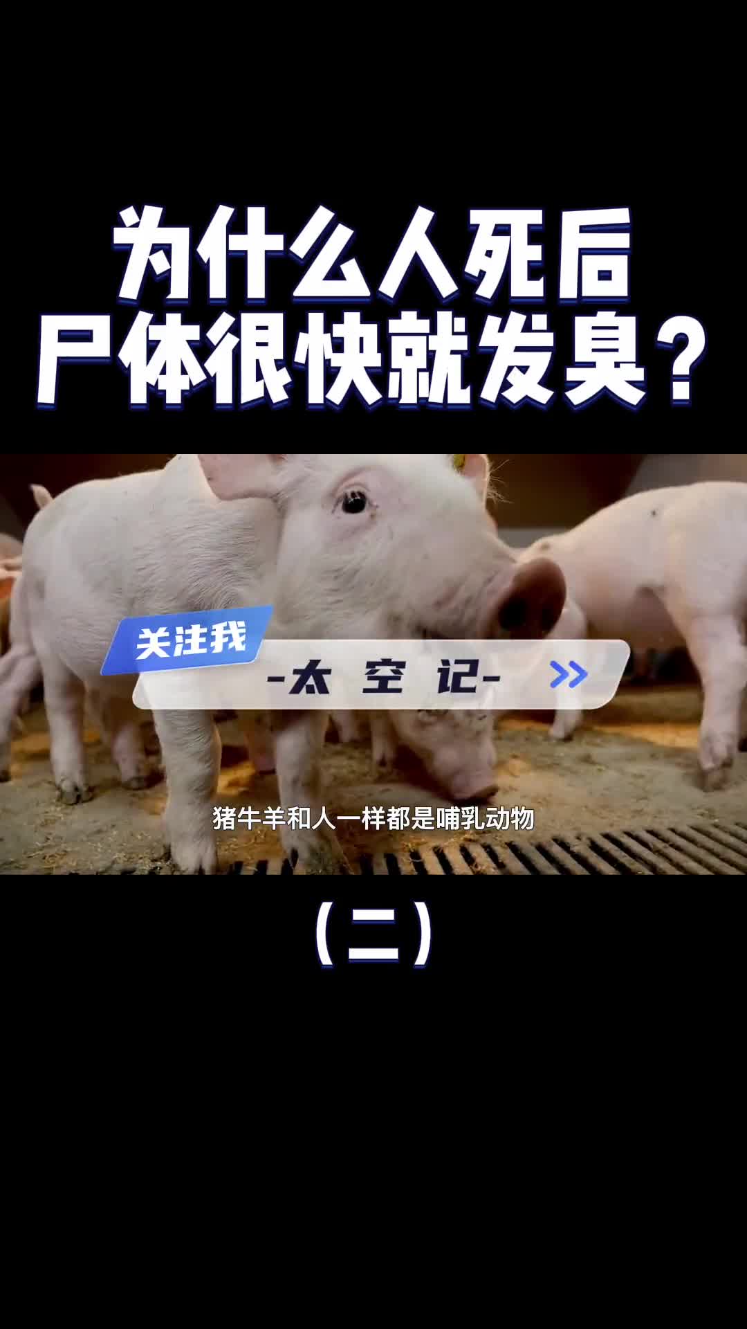 为什么人死后很快就发臭而猪肉羊肉就不会那么快看完涨知识了