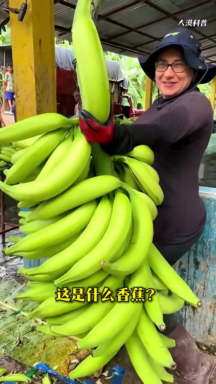 最大的香蕉有多大科普分享26不同品种的香蕉你吃过几种