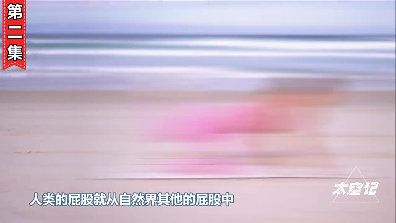 人类的屁股到底有多奇怪自然界独一无二看完涨知识了