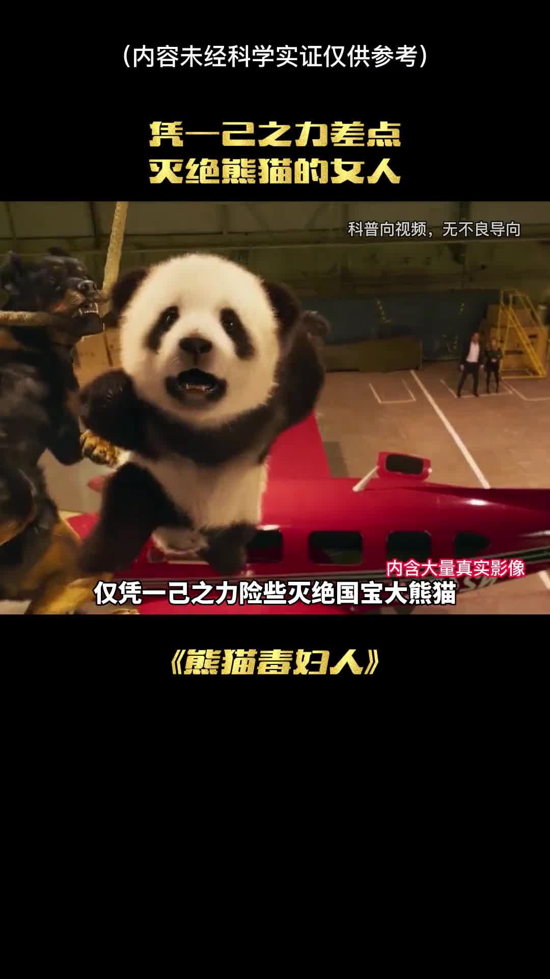 世界上第一个把大熊猫偷出中国的女人究竟是谁