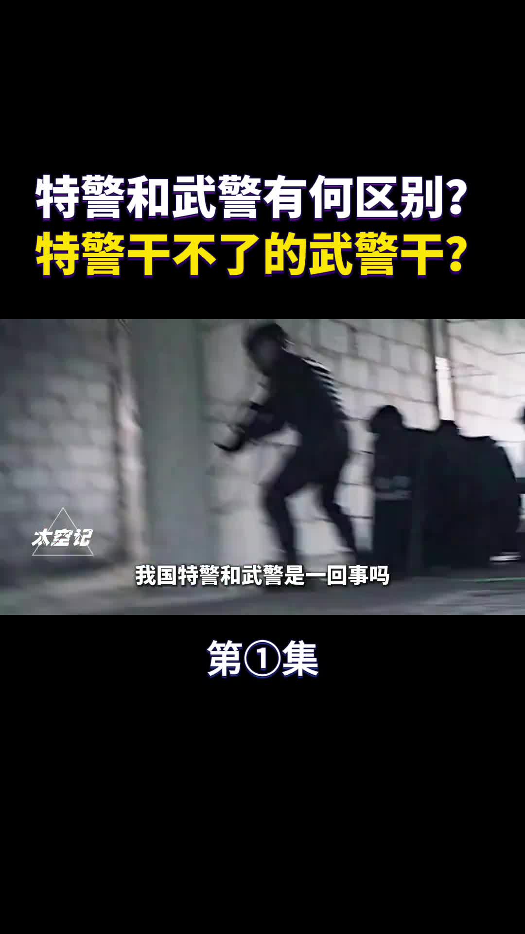 特警和武警有何区别特警干不了的武警敢干
