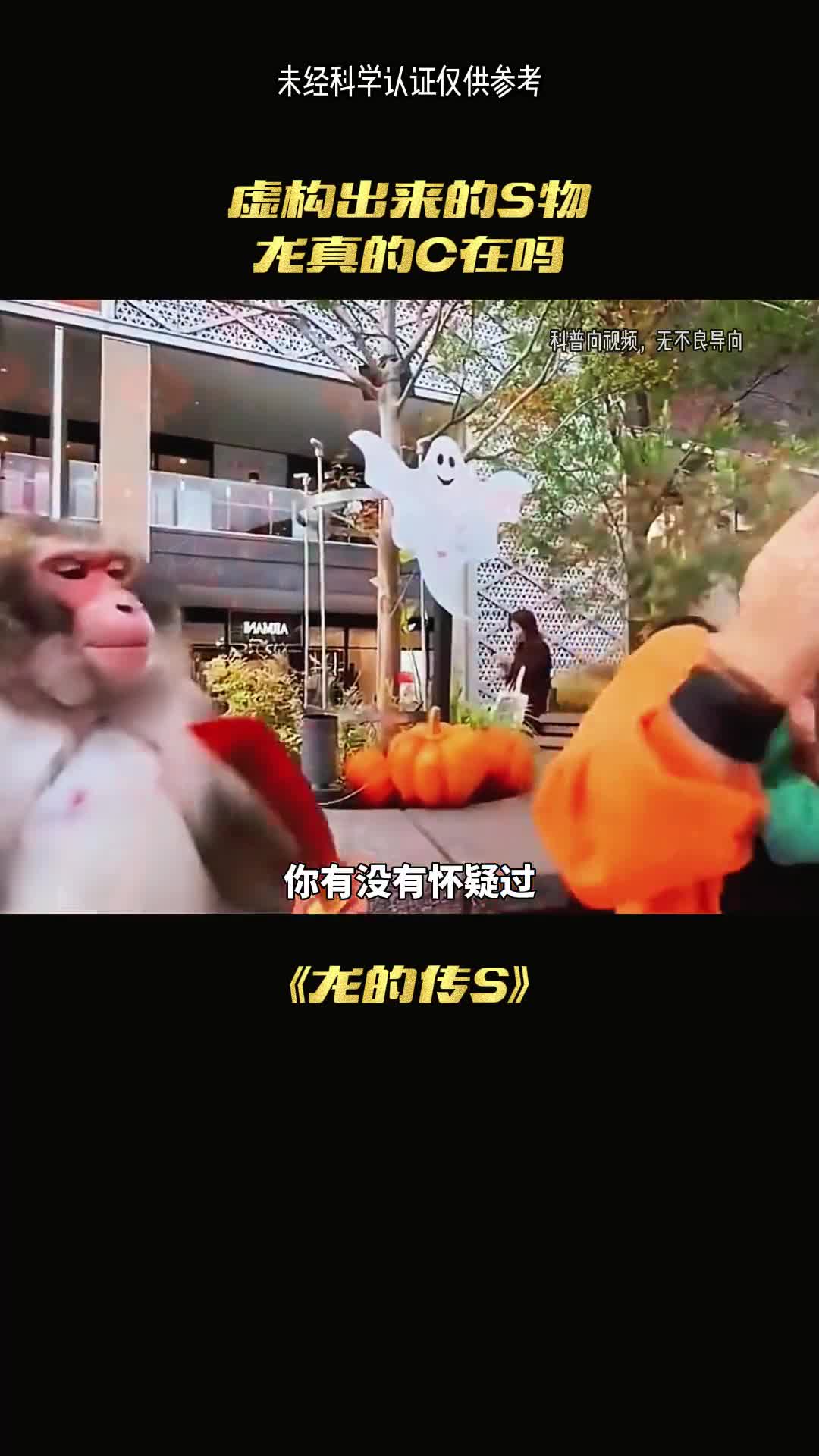 为何12生肖中没有龙龙真实存在吗