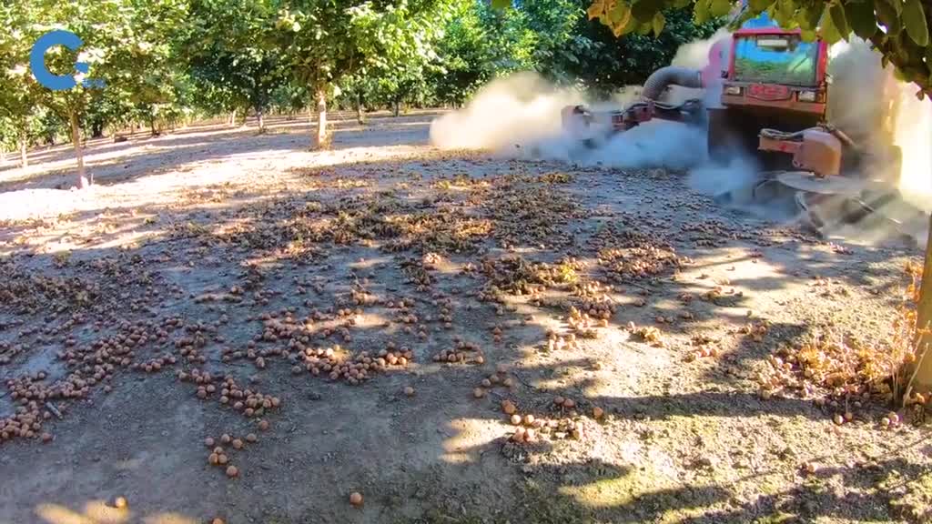 如何收集掉在地上的果实连同落叶一块收集