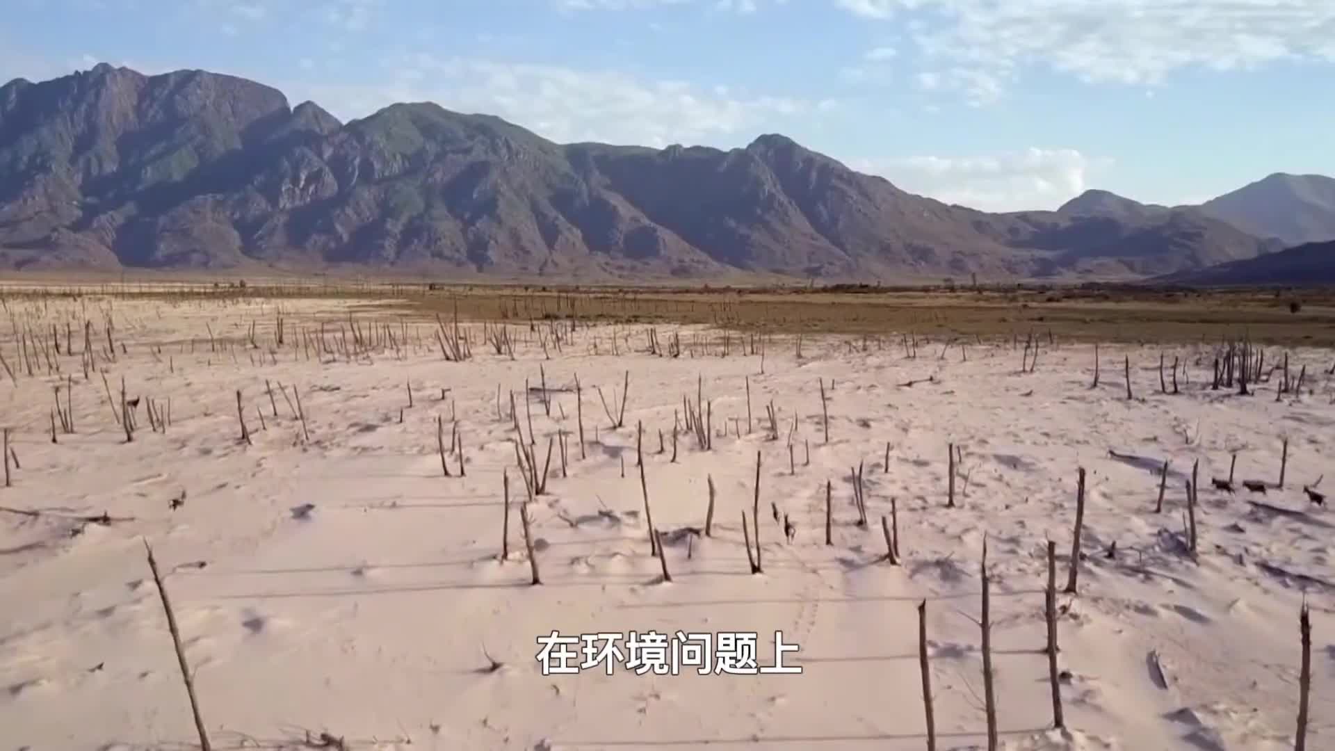 比尔盖茨再出神预言疫情将在2022年结束5大预言正慢慢成真