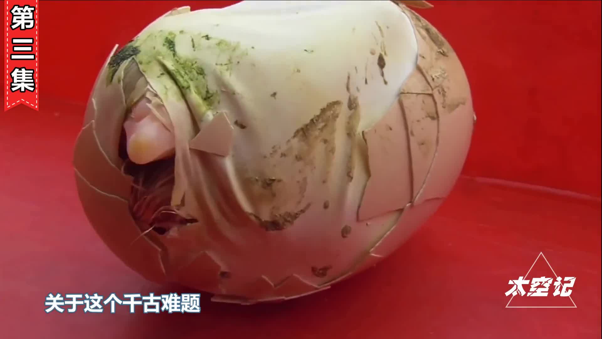 先有鸡还是先有蛋科学家终于找到答案了你认同吗