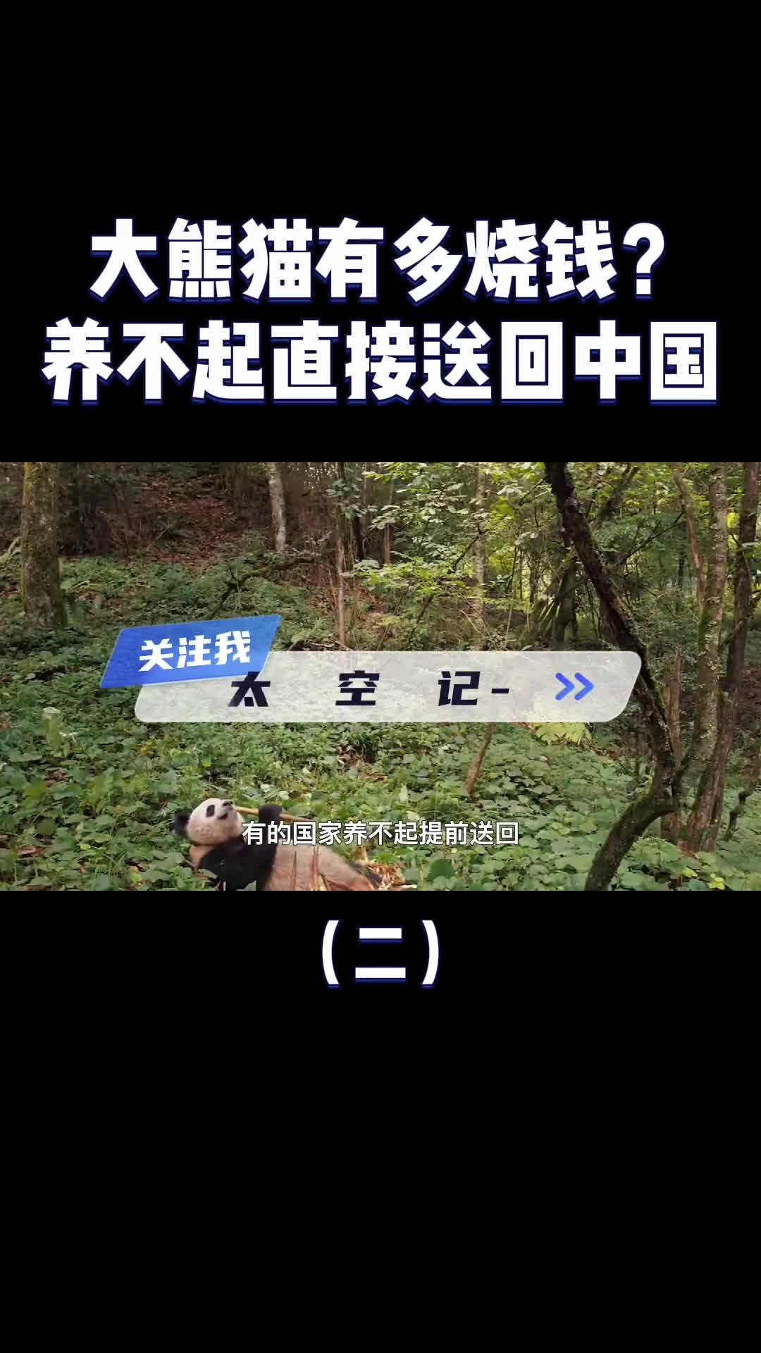 养熊猫到底有多烧钱每年吃掉700万加拿大养不起提前送回我国