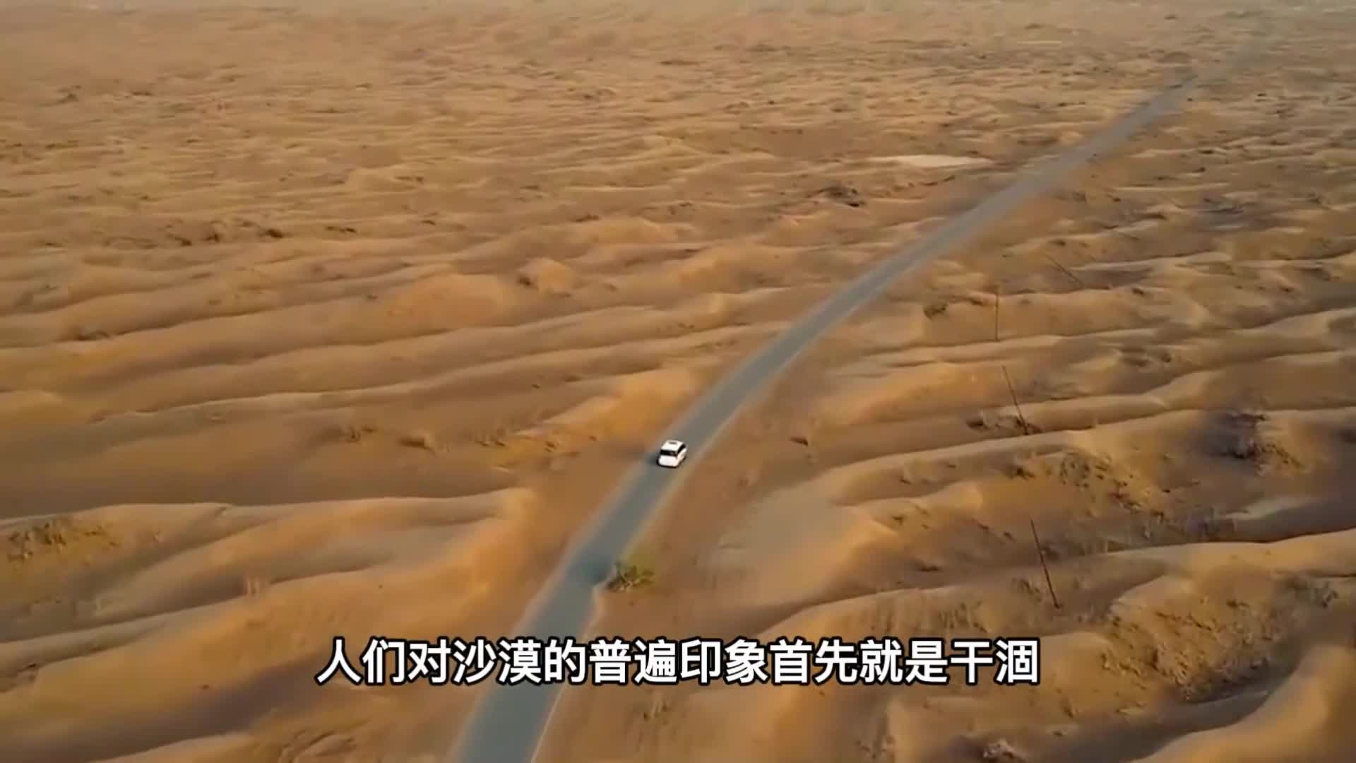 新疆塔克拉玛干沙漠地下水为什么不能开采看看后果就明白了